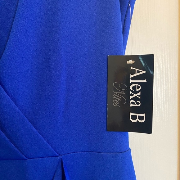 Alexa B Nites Beautiful evening Dress - Picture 8 of 13